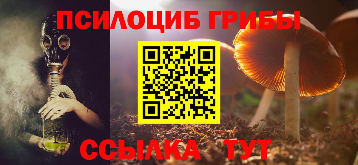 Фролово  Псилоцибиновые грибы GOLDEN TEACHER  Псилоцибиновые грибы Psilocybe  Вход с VPN 