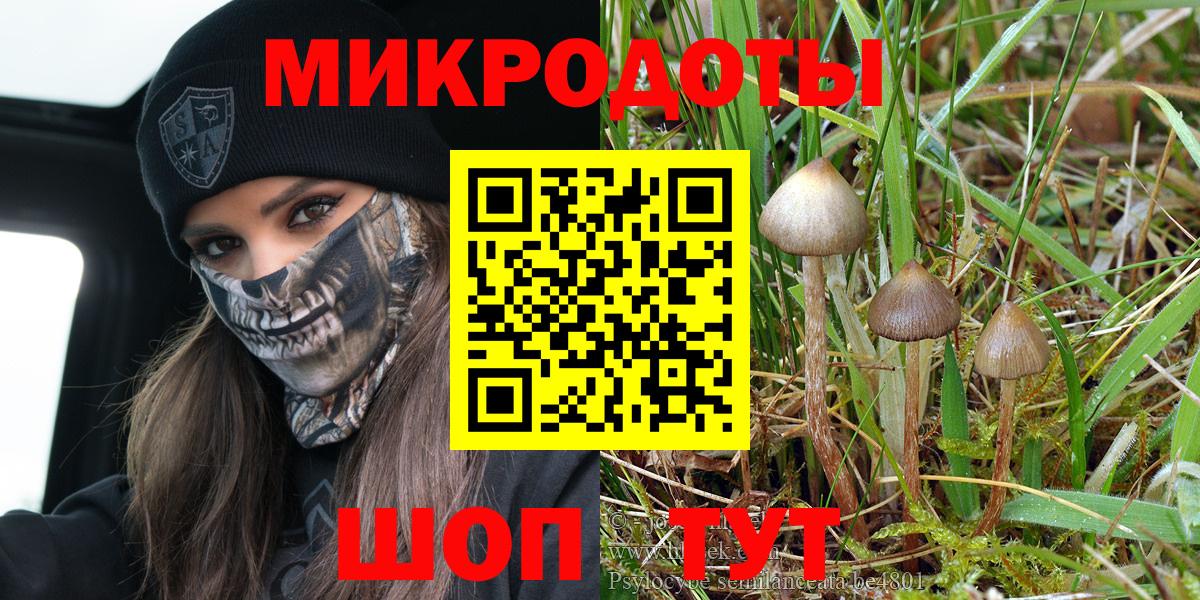 Псилоцибиновые грибы Magic Shrooms Фролово